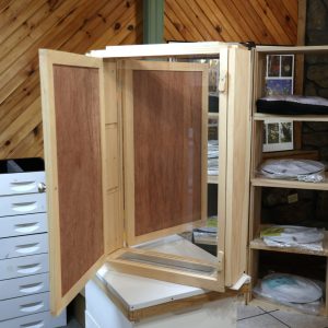 9 Deep Frame Observation Hive